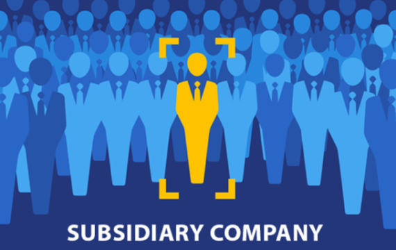 subsidiary company registration